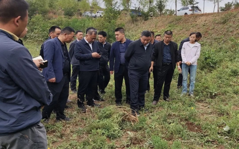 天水市政協(xié)副主席、清水縣委書記馬越垠到“榮程百草莊園”中藥材試驗(yàn)基地調(diào)研中草藥產(chǎn)業(yè)發(fā)展工作