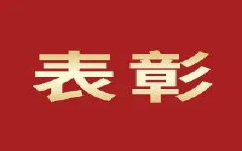 奮進(jìn)2023，這些集體和個(gè)人無(wú)上“榮”光