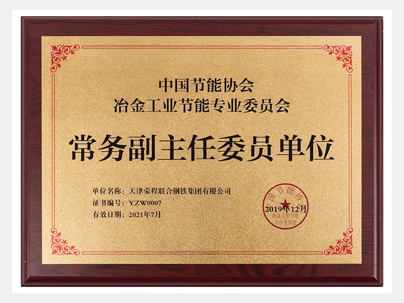 中國節(jié)能協(xié)會 冶金工業(yè)節(jié)能專業(yè)委員會 常務(wù)副主任委員單位